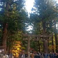 ศาลเจ้านิกโก้โทโชกุ (Toshogu Shrine)