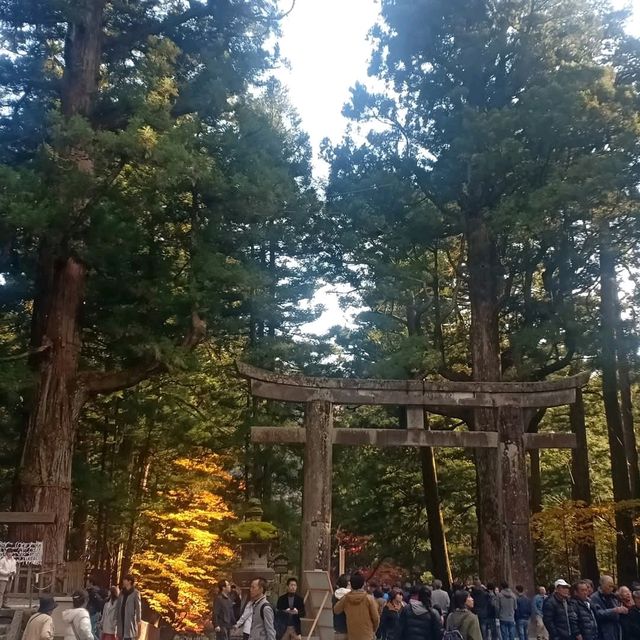 ศาลเจ้านิกโก้โทโชกุ (Toshogu Shrine)