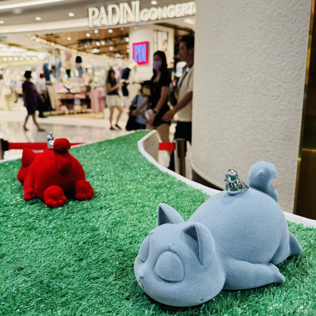A Wonderland for Toy & Coffee Lovers! ☕🧸