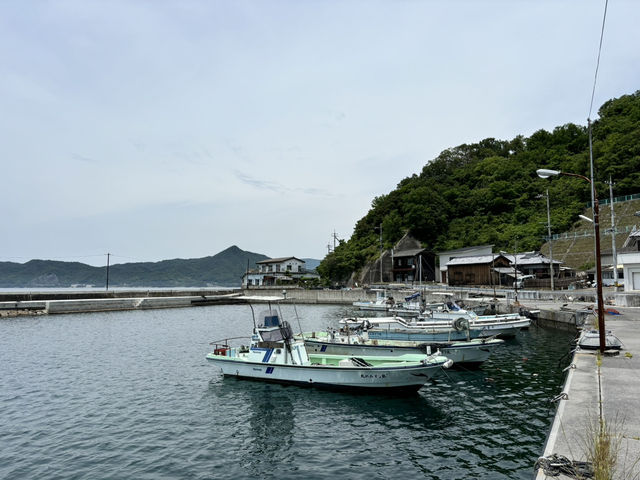 瀨戶內海單車旅行