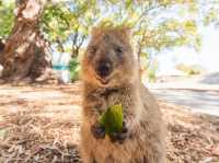 Perfect Stunning Coastal City of Perth