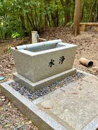 【和歌山県】急勾配の坂と竹林の先にある神社