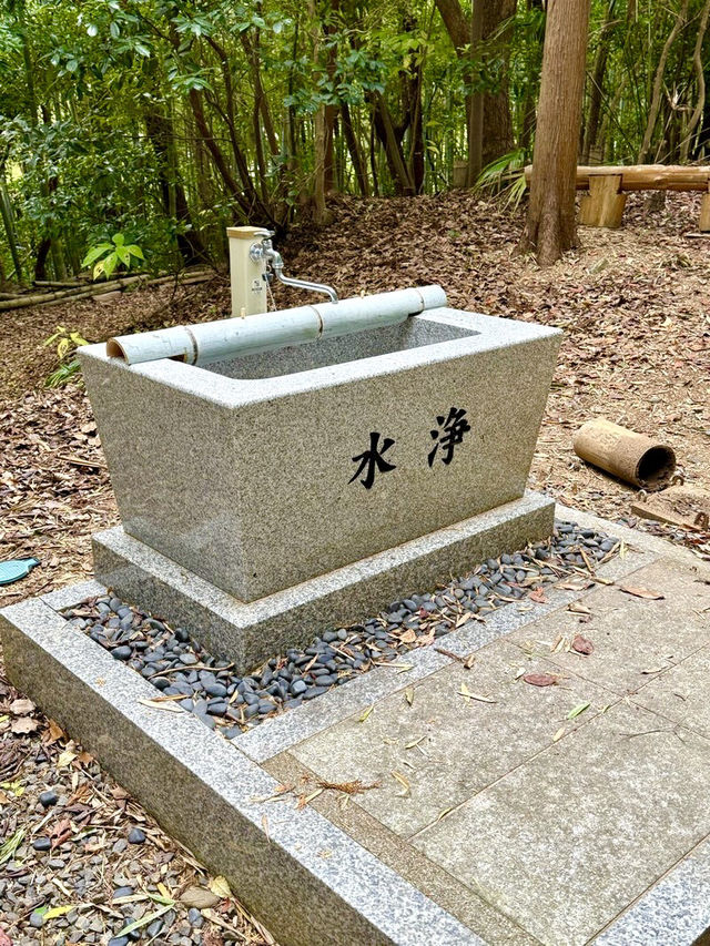 【和歌山県】急勾配の坂と竹林の先にある神社