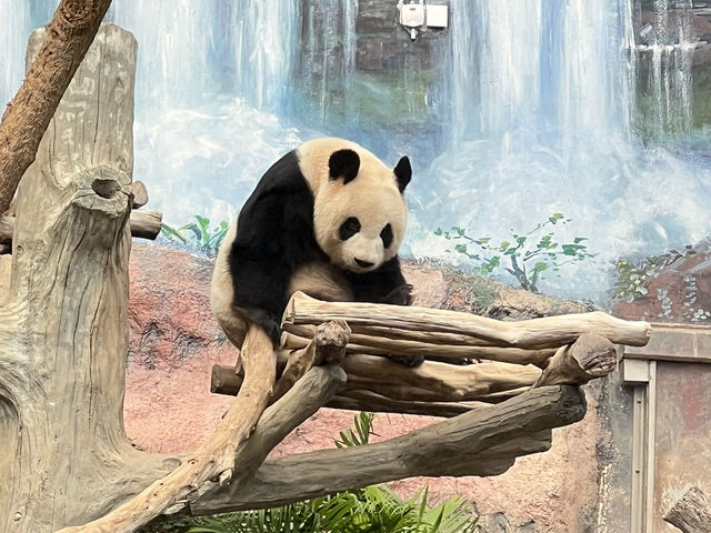 澳門🇲🇴～一趟說走就走的旅行～