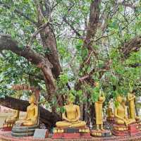 Awe-Inspiring Discoveries: Hidden Gems of Thatluang Park
