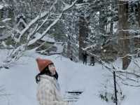 日本東北❄️踏雪尋覓羽黑山五重塔