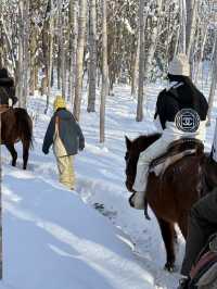 ❄️🐴 札幌雪景 × 夢幻騎馬體驗 🐴❄️