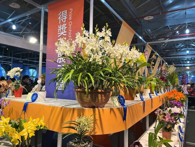 台南後壁-亞太蘭花會議暨台灣國際蘭展 Orchid Show 