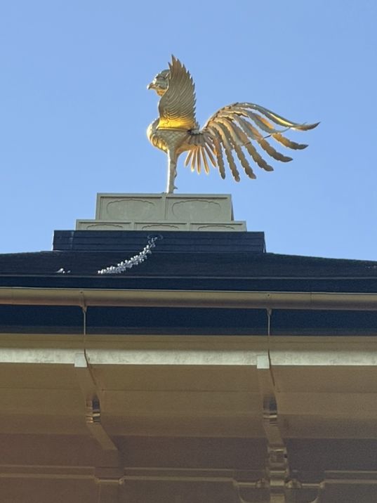 「金閣寺｜黄金に輝く京都の世界遺産・鹿苑寺」