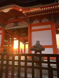 Kyoto 🇯🇵: Temples, Culture, Historical and Timeless