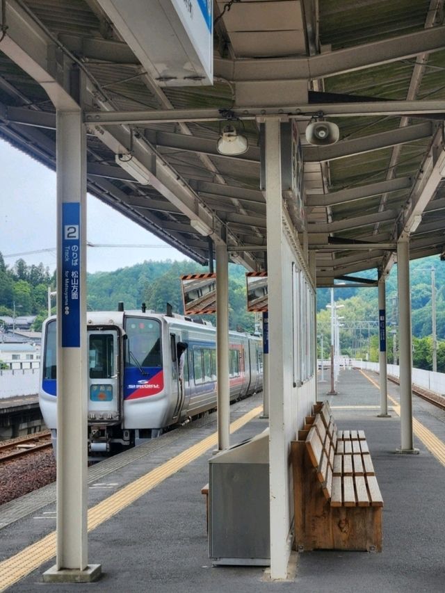 이요오즈에서 만나는 감성 가득한 하루