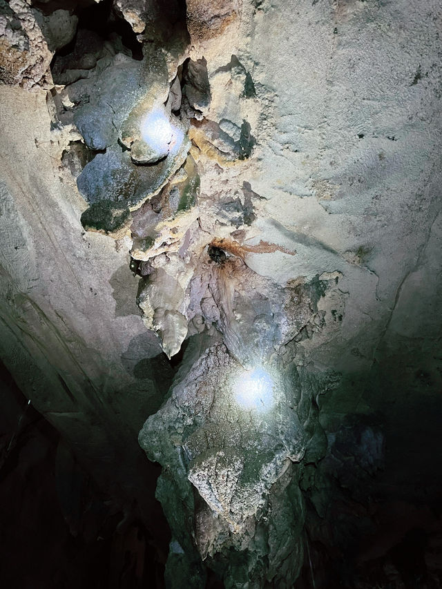 “Deer Cave: Spring Adventure Wonder”