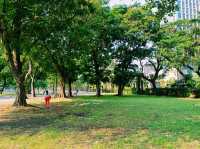 泰國曼谷市中心素坤逸區城市綠洲公園一日遊行程，親子遊行程，素坤逸繁華大道，適合打卡拍照📸親子遊