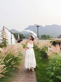 ผาม่านสุข ภูผาม่าน