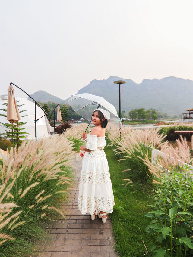ผาม่านสุข ภูผาม่าน