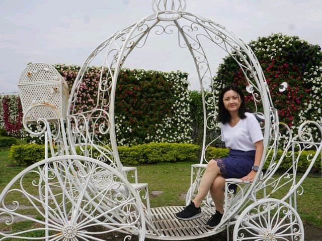 台中中社花海