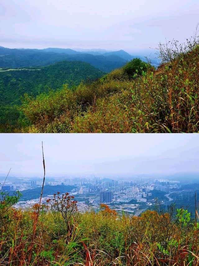 深圳打鼓嶂千島湖• 馬巒山•鵝公髻三山連走