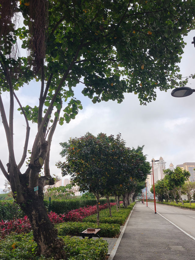 不錯的一條散步跑步🏃徑