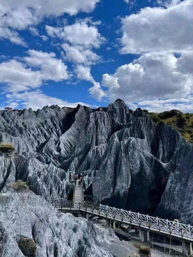 Moshi Park: A Surreal Stone Forest from Another World