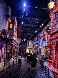 An Amazing Experience for Harry Potter Fans!