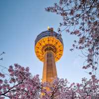 SPRINGTIME MAGIC | EXPLORING E-WORLD DAEGU