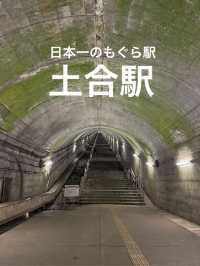 【群馬】改札まで462段⁈日本一のもぐら駅に行ってみた！