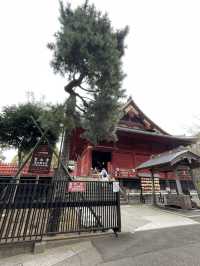 【東京】文化と自然を感じる賑やかな街・上野