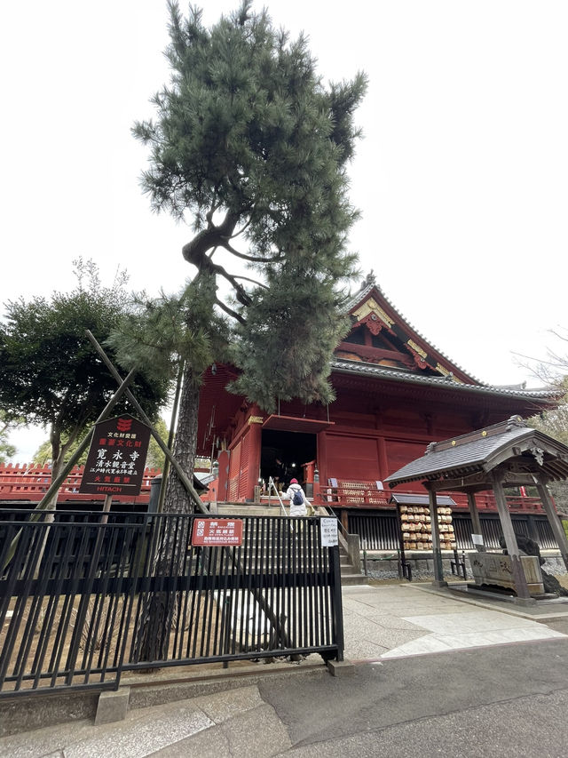 【東京】文化と自然を感じる賑やかな街・上野