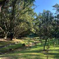 芳林公園·城市綠洲中的童趣