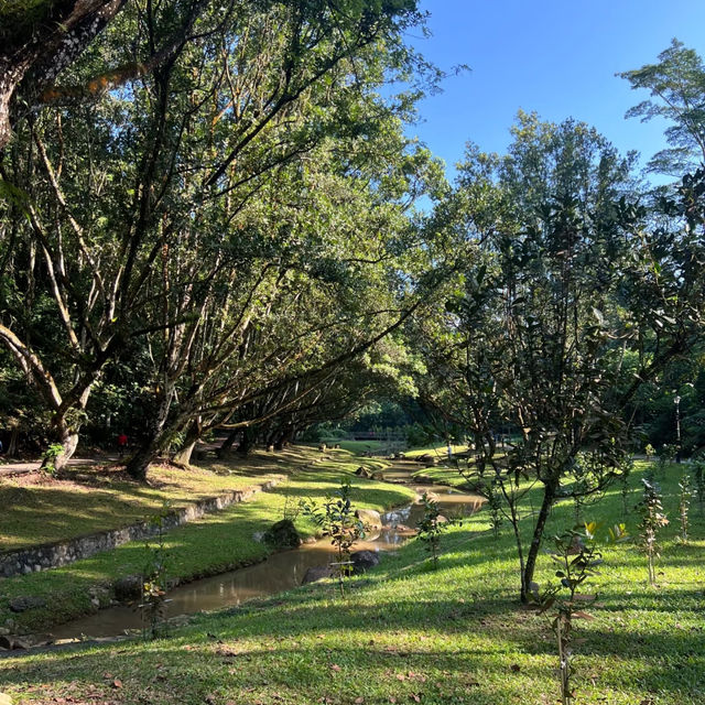 芳林公園·城市綠洲中的童趣