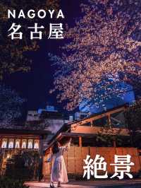 【名古屋】歴史あるお寺で桜春の訪れを感じよう！✨🌸