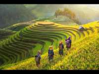 Terraced Rice Fields in Mu Cang Chai