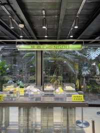 Holiland ร้านเบเกอรี่ร้านโปรด ที่เฉิงตู
