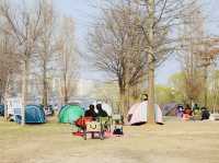 平日漢江公園驚見超浪漫野餐景象！情侶在草地上看韓劇，這才是韓國人最愛的放鬆方式在韓國的平日午後