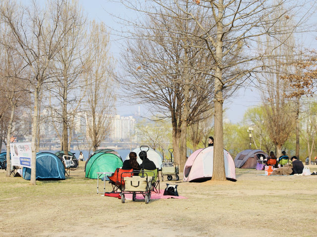 平日漢江公園驚見超浪漫野餐景象！情侶在草地上看韓劇，這才是韓國人最愛的放鬆方式在韓國的平日午後