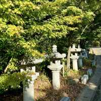 妙法寺｜朱紅色的靜謐
