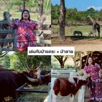 แจกแพลน เที่ยว 1 วัน ที่ สิงห์ปาร์ค เชียงราย 