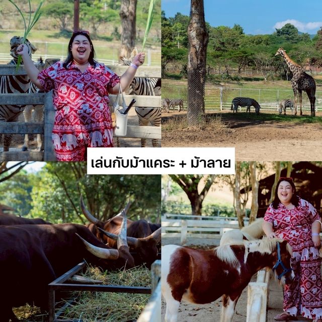 แจกแพลน เที่ยว 1 วัน ที่ สิงห์ปาร์ค เชียงราย 