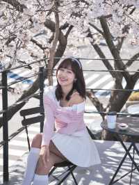 釜山🇰🇷超澎拜櫻花露台咖啡廳🌸