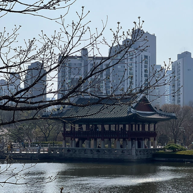 분당 중앙공원