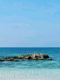 阿曼著名海島🏝️景點：馬西拉島，適合打卡拍照📸