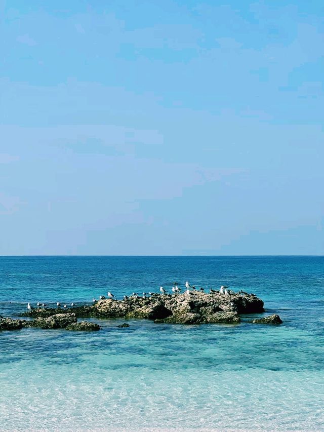 阿曼著名海島🏝️景點：馬西拉島，適合打卡拍照📸