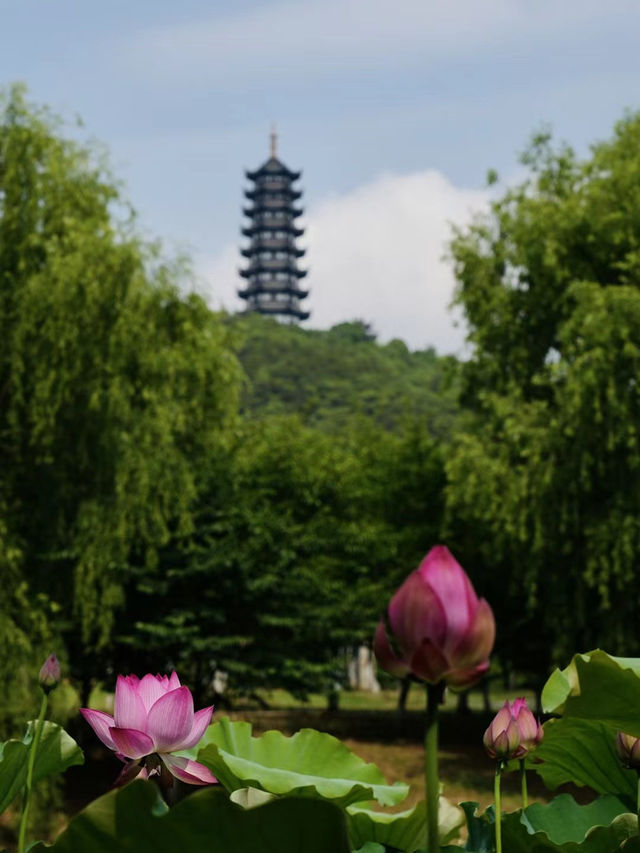 Great photography spot in Suzhou