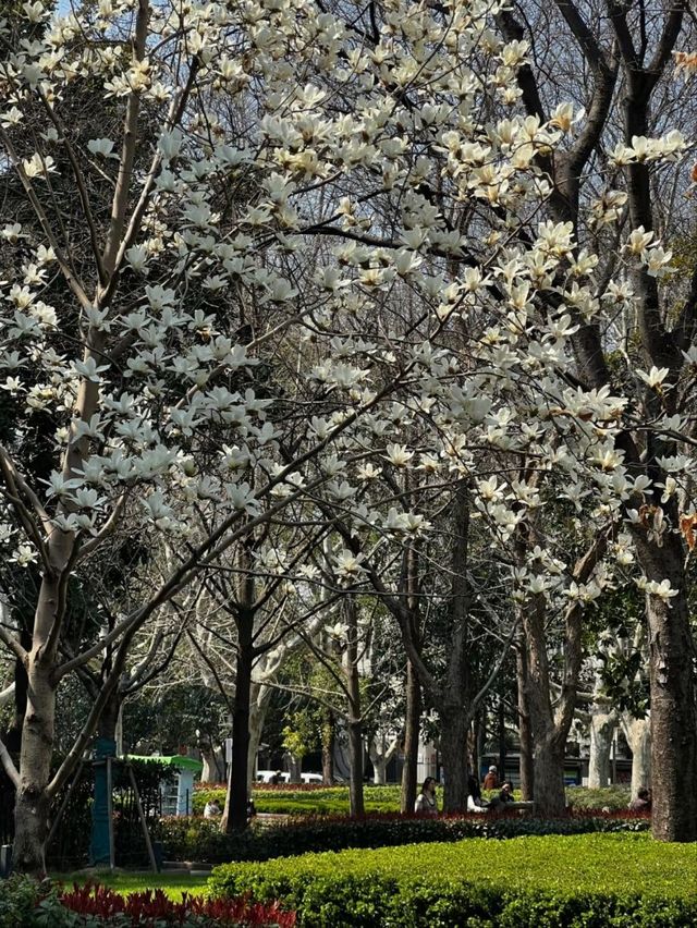 Xujiahui Park– Shanghai’s Urban Oasis with a Musical Twist