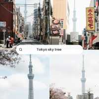 เสน่ห์แห่งโตเกียว – เมืองหลวงที่ไม่เคยหลับใหล
