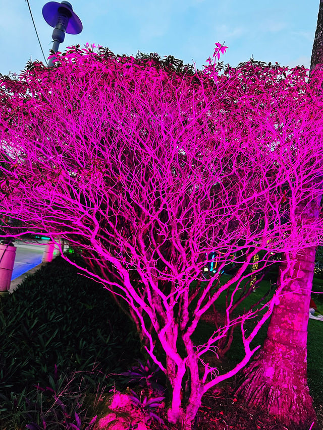 Twilight Serenity at Secret Garden Putrajaya