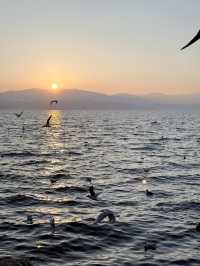Altitude & Attitude: A First-Timer’s Guide to Yunnan’s Big Four
