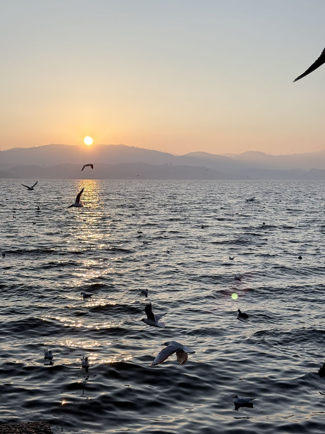 Altitude & Attitude: A First-Timer’s Guide to Yunnan’s Big Four
