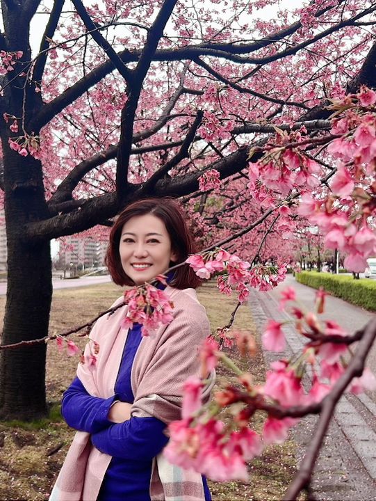 Spring Blossoms Season in Tokyo