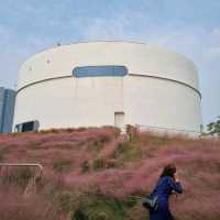 Pink muhly at Shanghai Youguan arts center